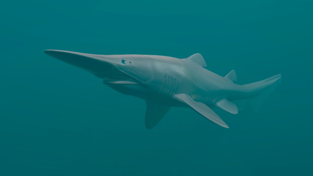Ugly Goblin Shark in the deep ocean