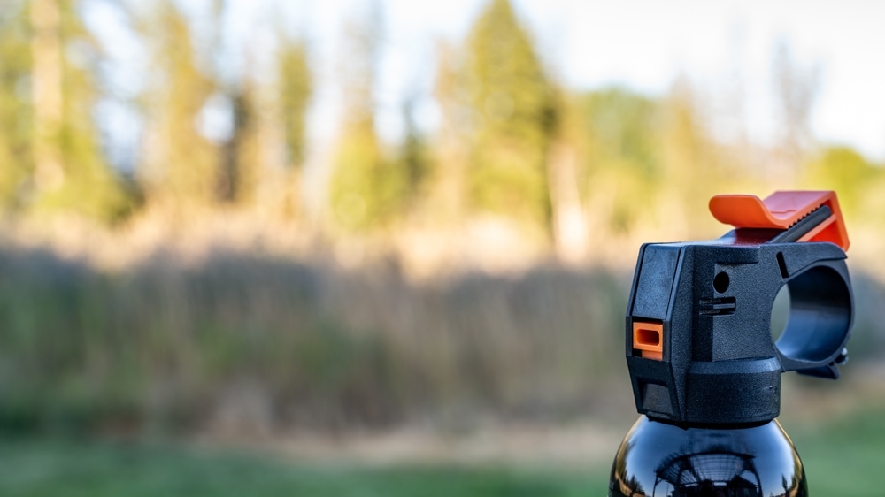 an aerosol spray of a bear spray can
