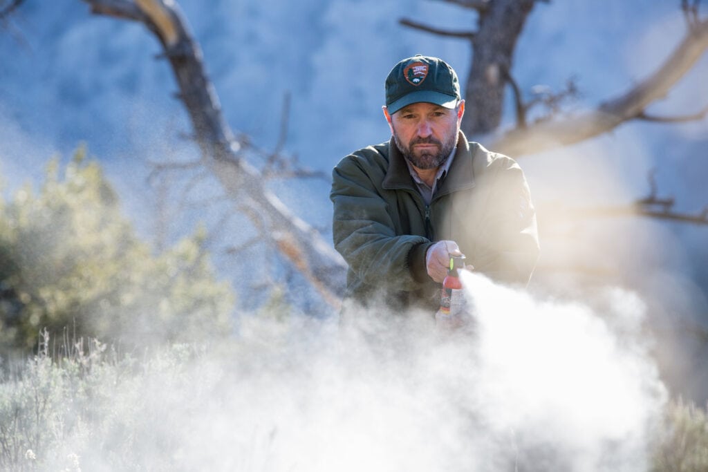 a park ranger deploying a bear spray