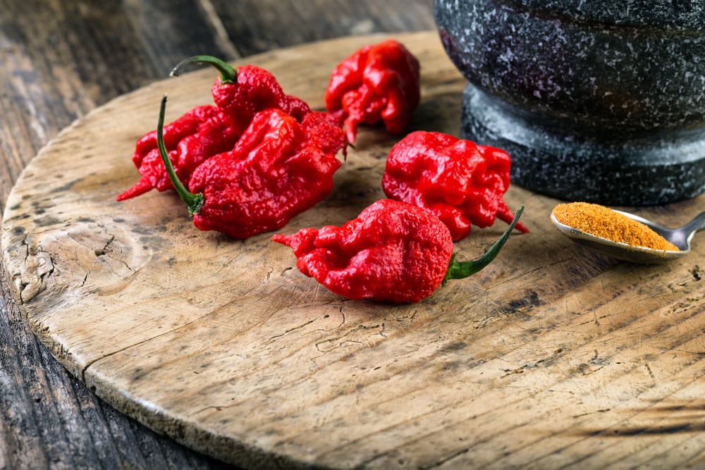 image of a Carolina reaper pepper on a chopping board