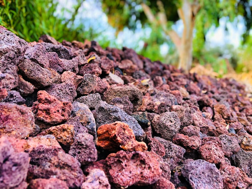 Igneous rock below the trees