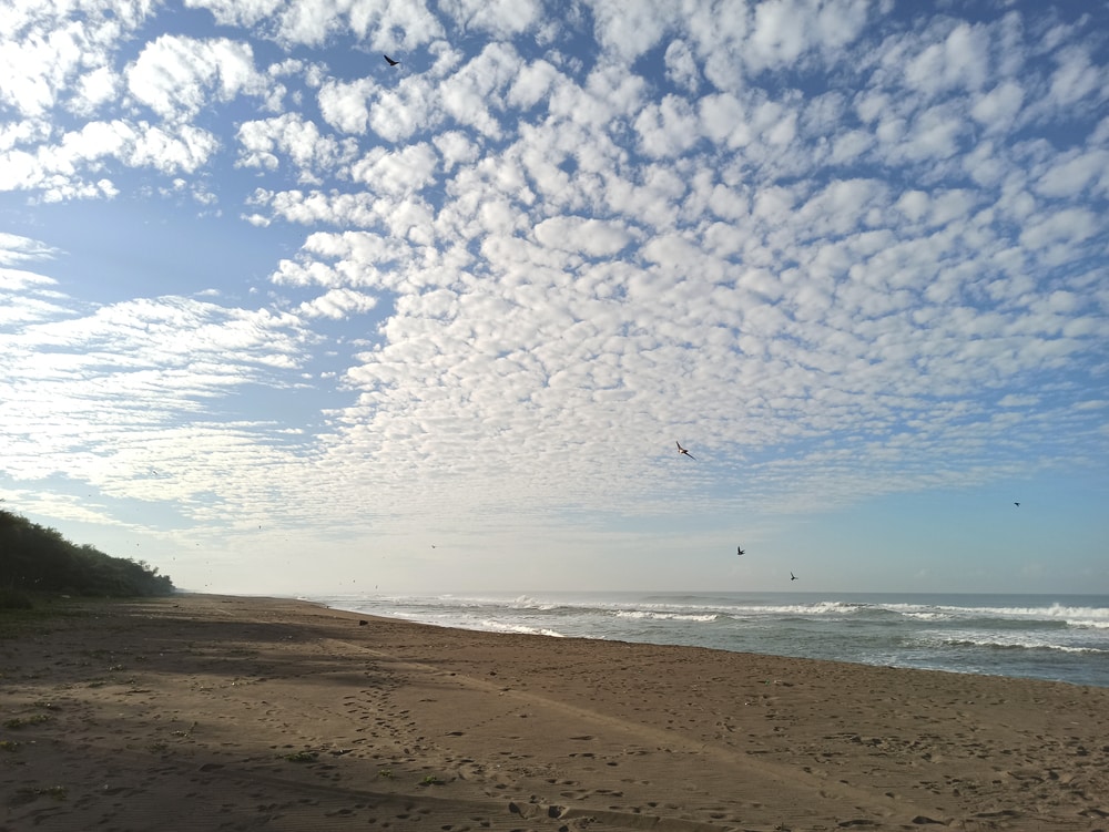Cirrocumulus clouds on top of a sea