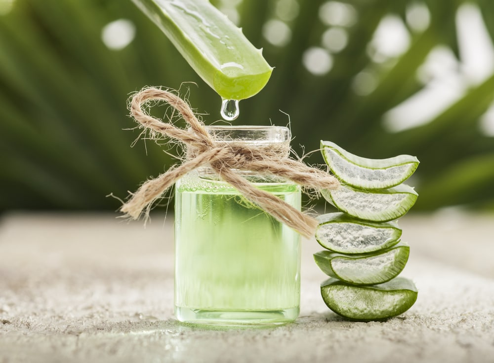 sliced aloe vera leaf and aloe vera extract poured into a jar