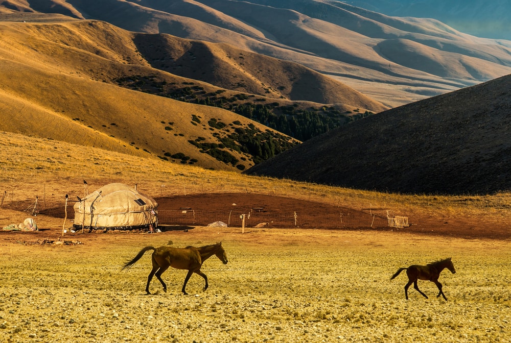 Yurt in the silk road