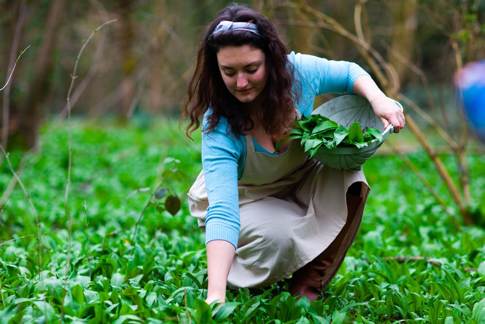 Woman picking up plants in the forest