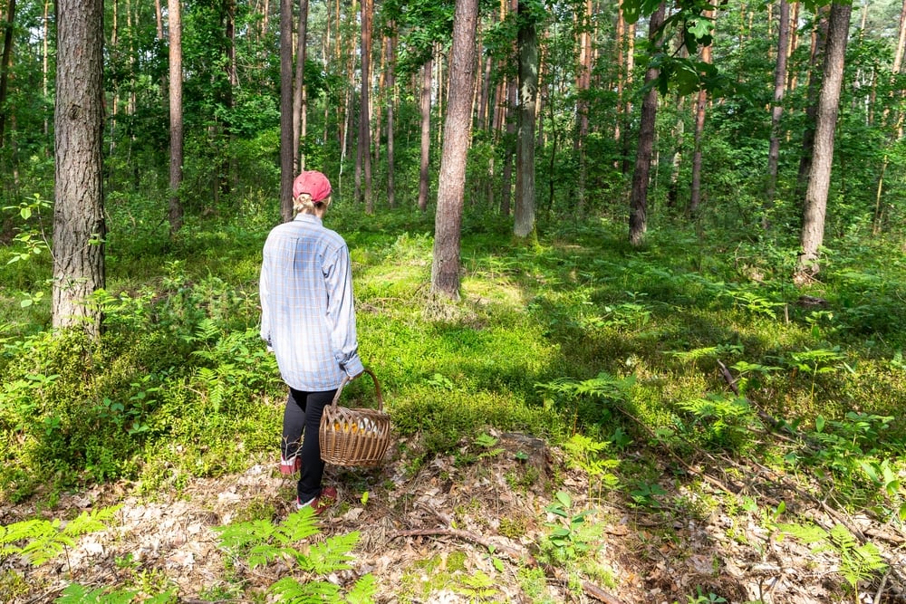 Woman holding her basket in the middle of the forest