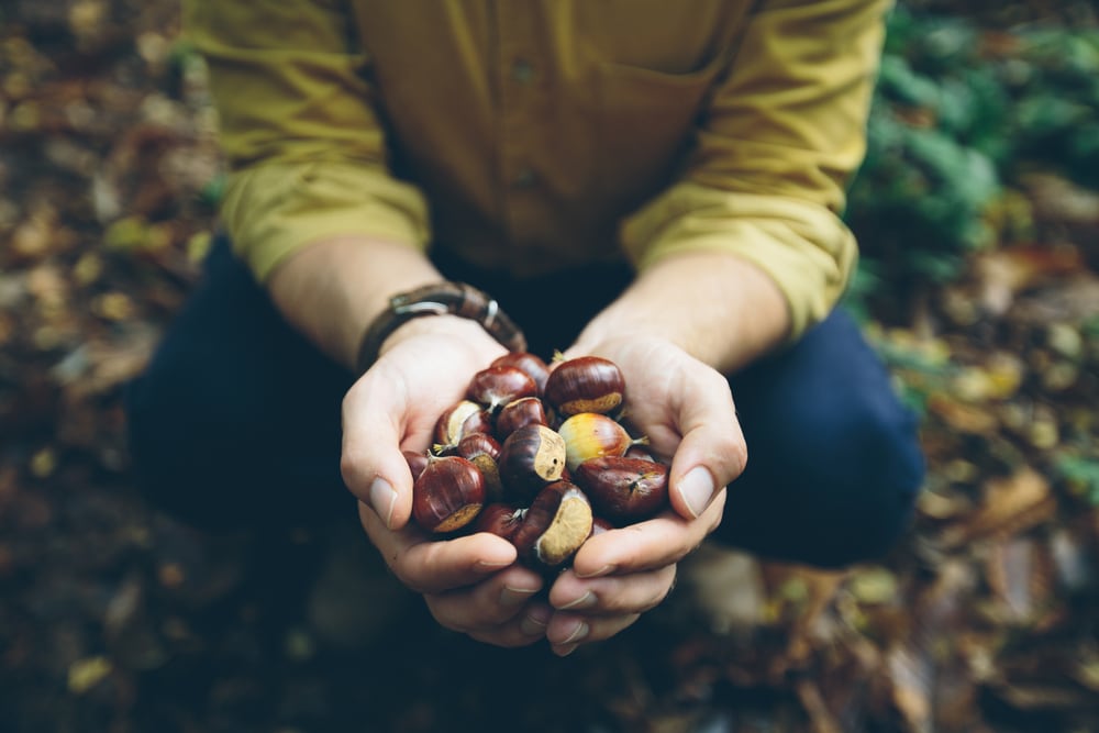 Man holding the peanut