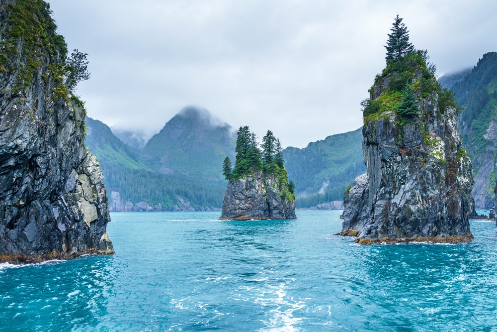 Fjord with trees on stones