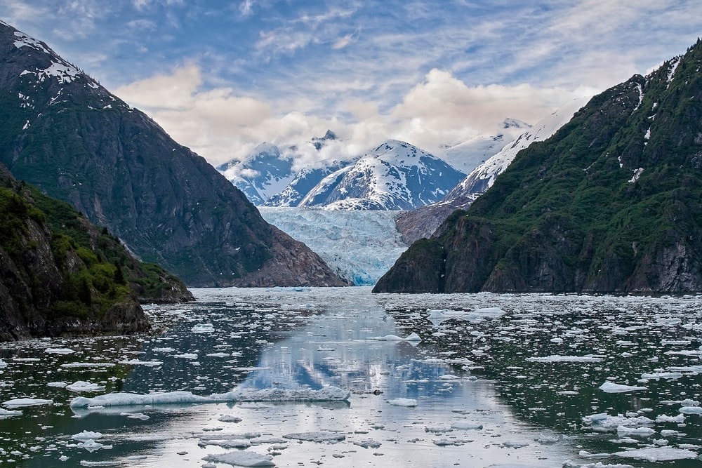 Fjord with broken ice on its water