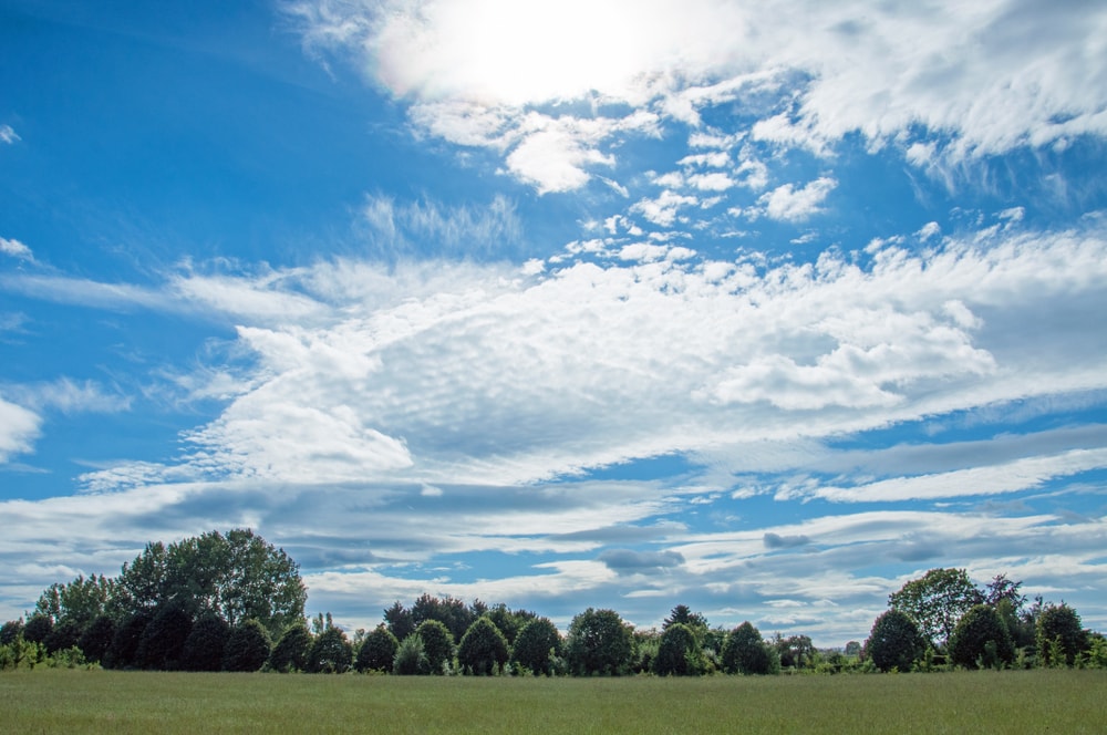 Altostratus clouds on top of a field