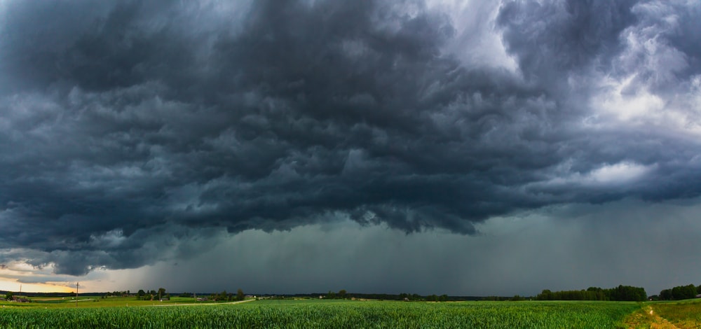 Nimbostratus clouds dropping rains on field