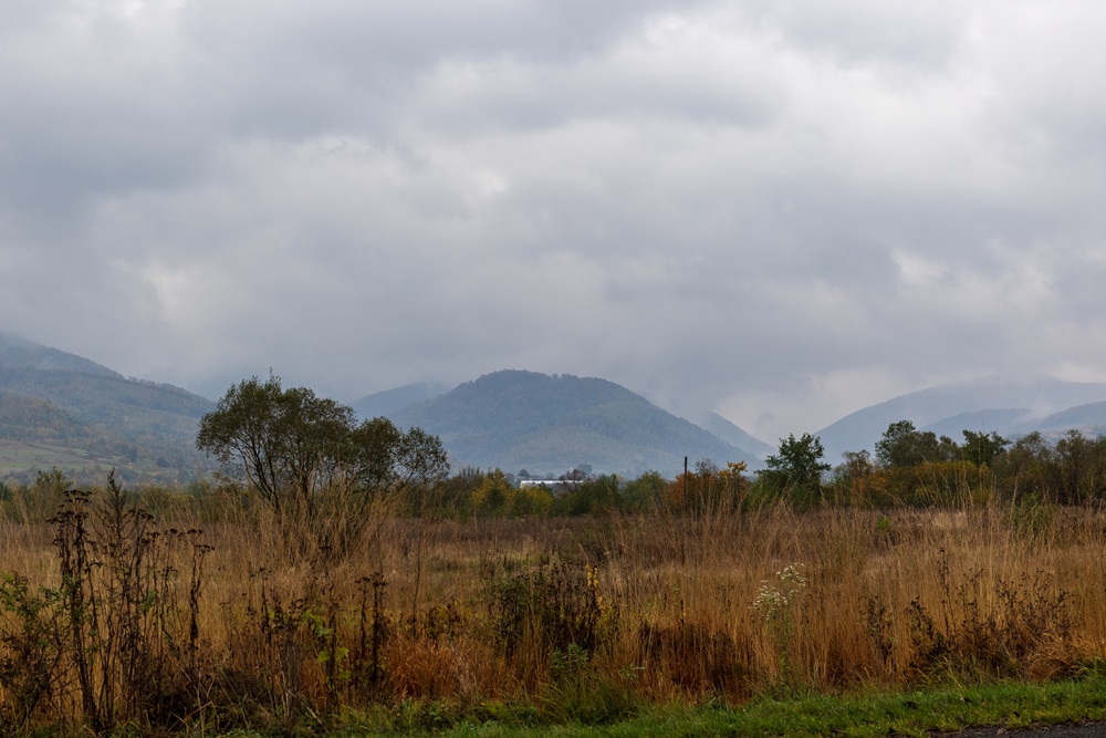 Stratus clouds seen on top of a mountain