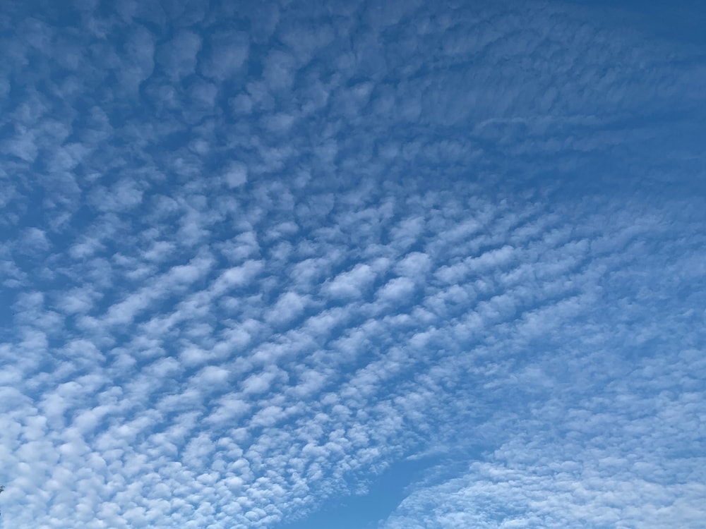 Altostratus clouds on blue skies