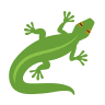 lizard icon