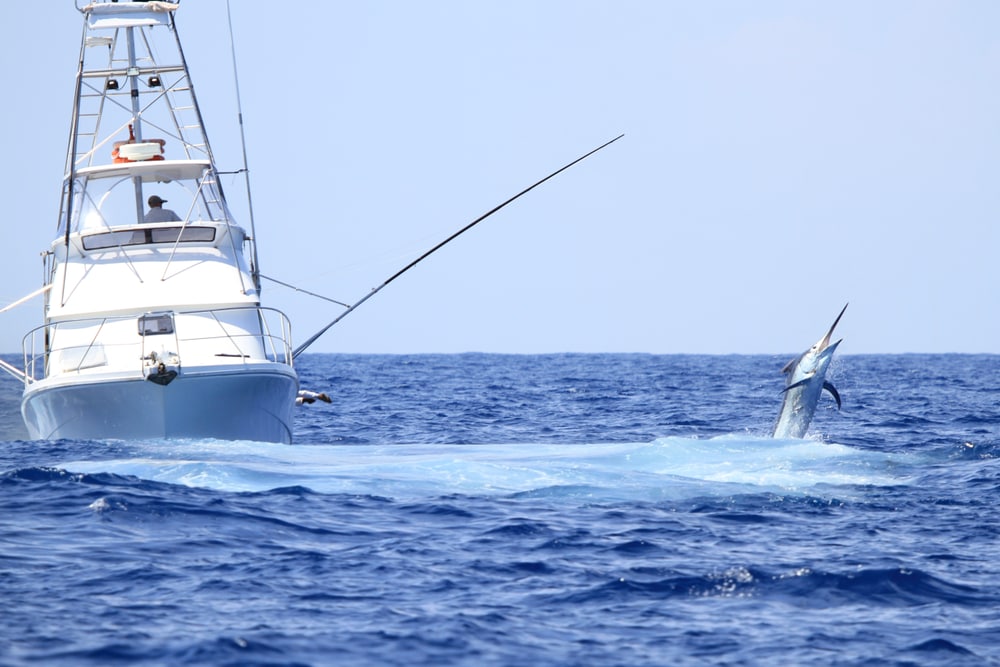 Big fish caught by heavy tackle fighting