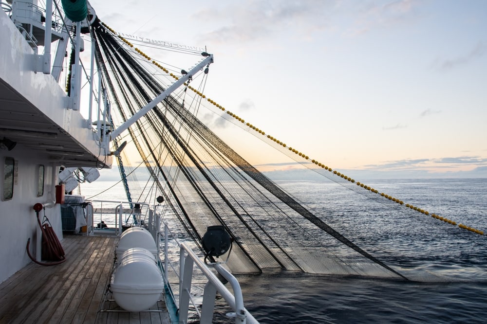 Buoy fishing in the middle of the ocean