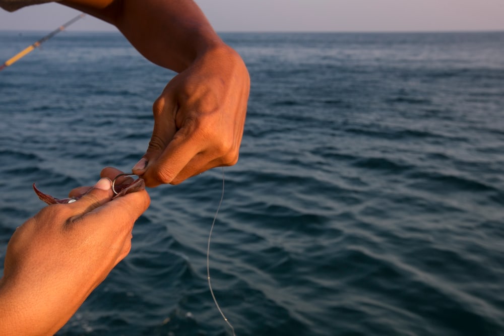 Hook used for line fishing
