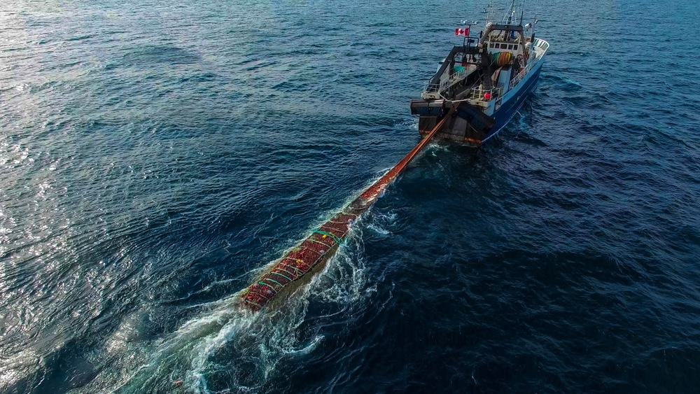 Boat trawling fishes from the sea