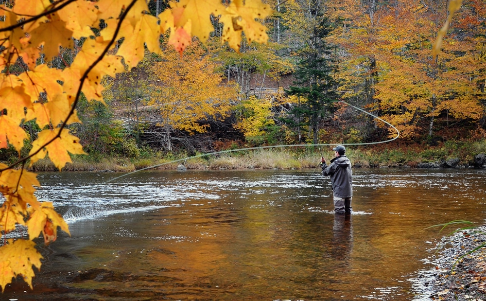Man casting its rod in fly fishing