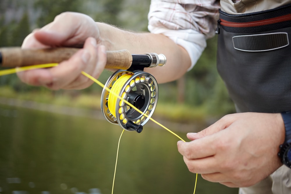 Fly line of a fishing rod used for fly fishing