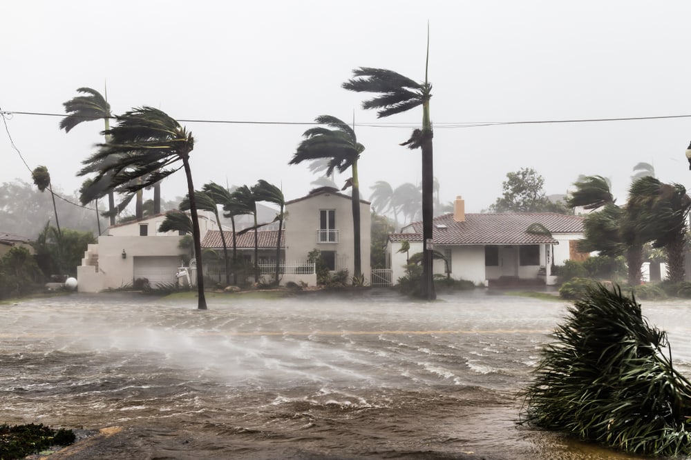 Effects of a hurricane in a town