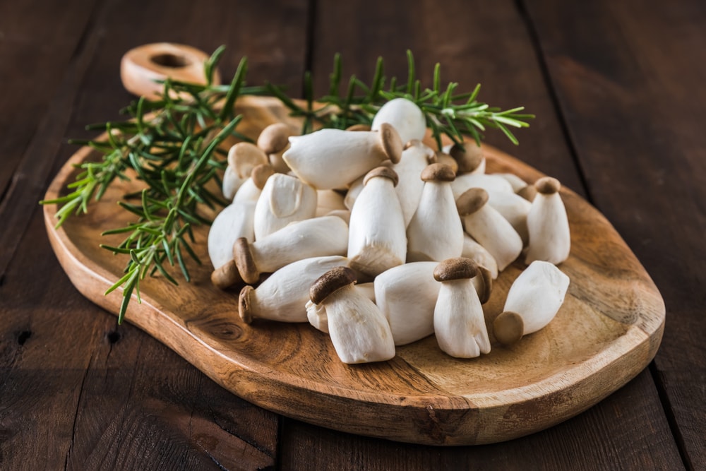 Eryngii or King Oyster Mushroom - Pleurotus Eryngii on a table