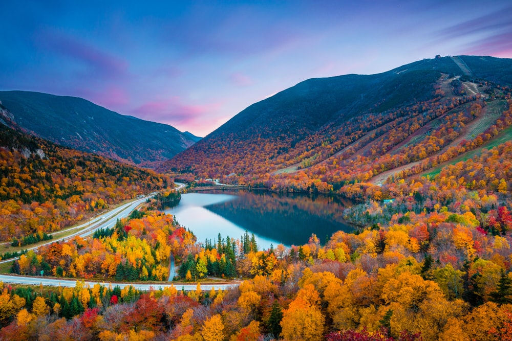 Trees with different leaves colors with lake in the middle