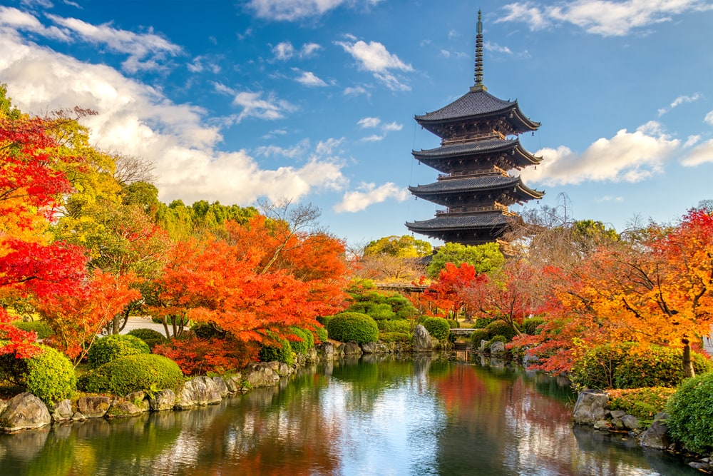 Trees with different leaves color in the middle of a temple