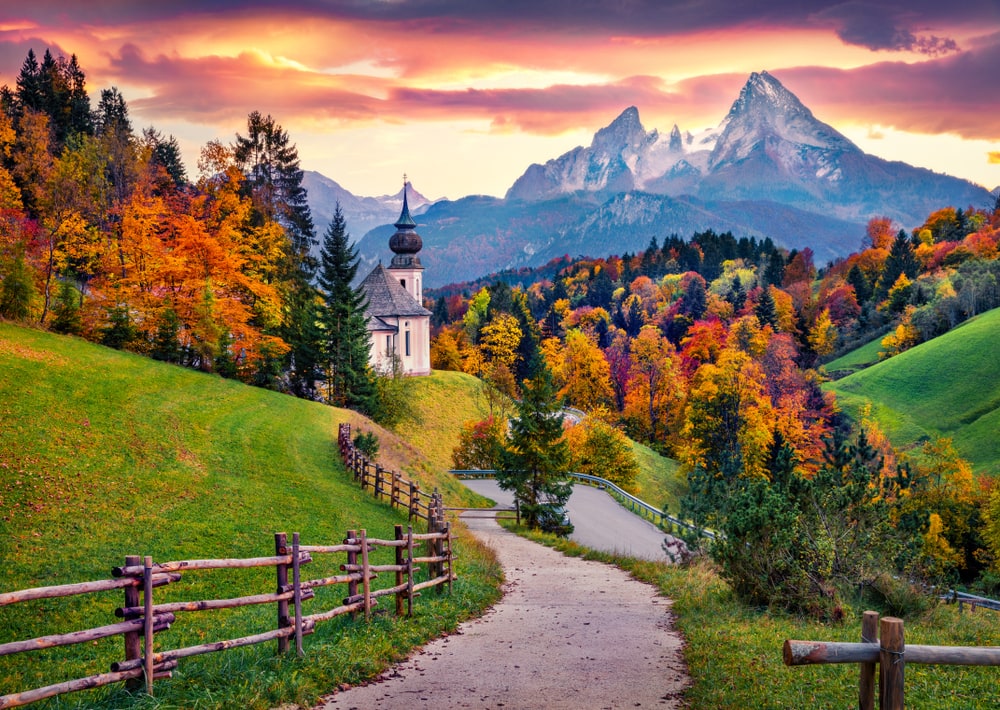 Painting of a province full of trees with colorful leaves