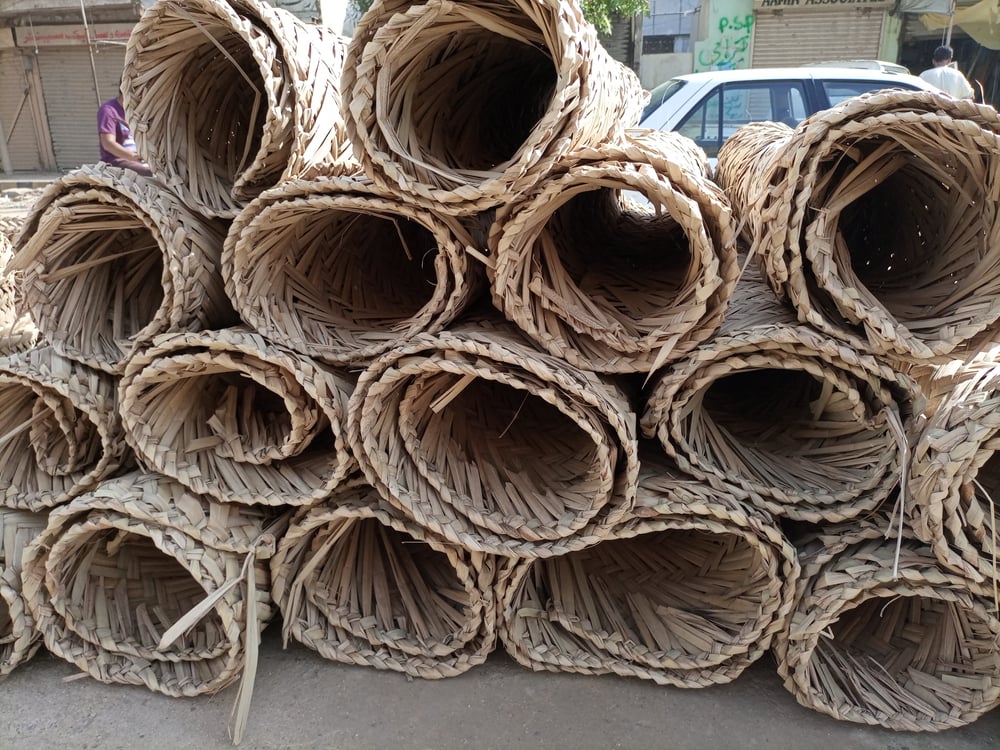 Handmade rolls from a pygmy date palm