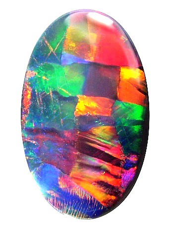 Harlequin Opal on white background