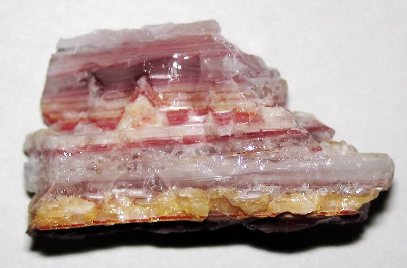 Bacon Strip Opal laying on a white table