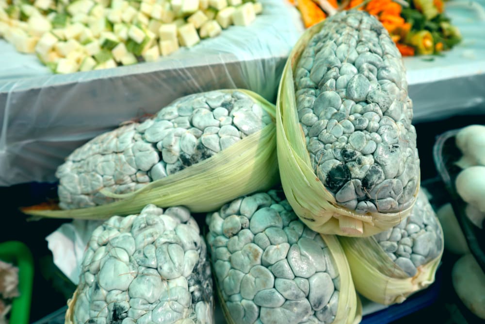 Huitacoche mushroom in the Parasitical ‘Aztec Caviar’ in Mexico City