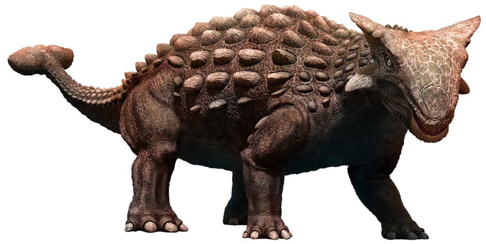 Armored Dinosaurs on white background