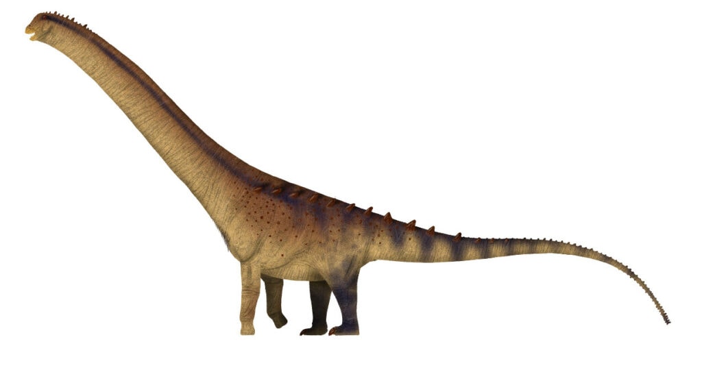 Patagotitan on white background