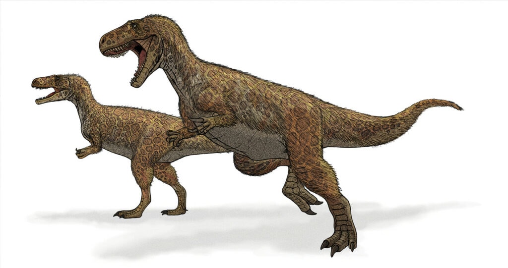 Two Megalosaurus running on white background