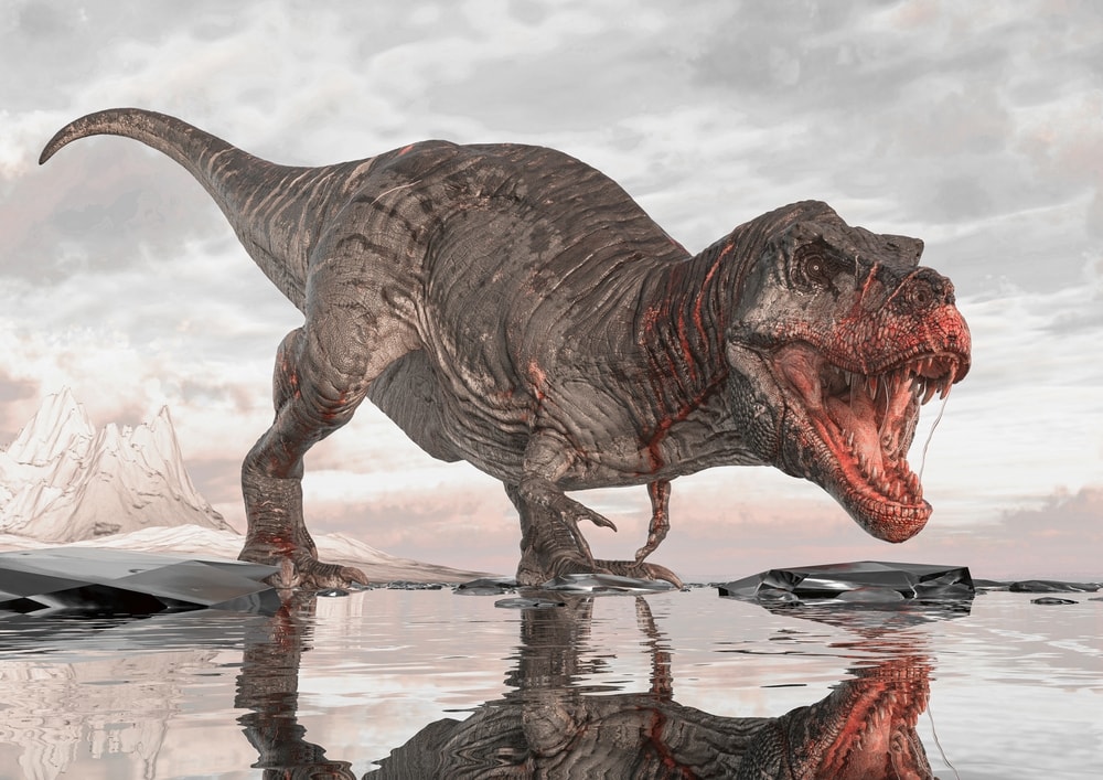 Tyrannosaurus rex looking for its prey