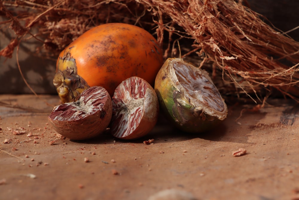 close up of a sliced betel nut