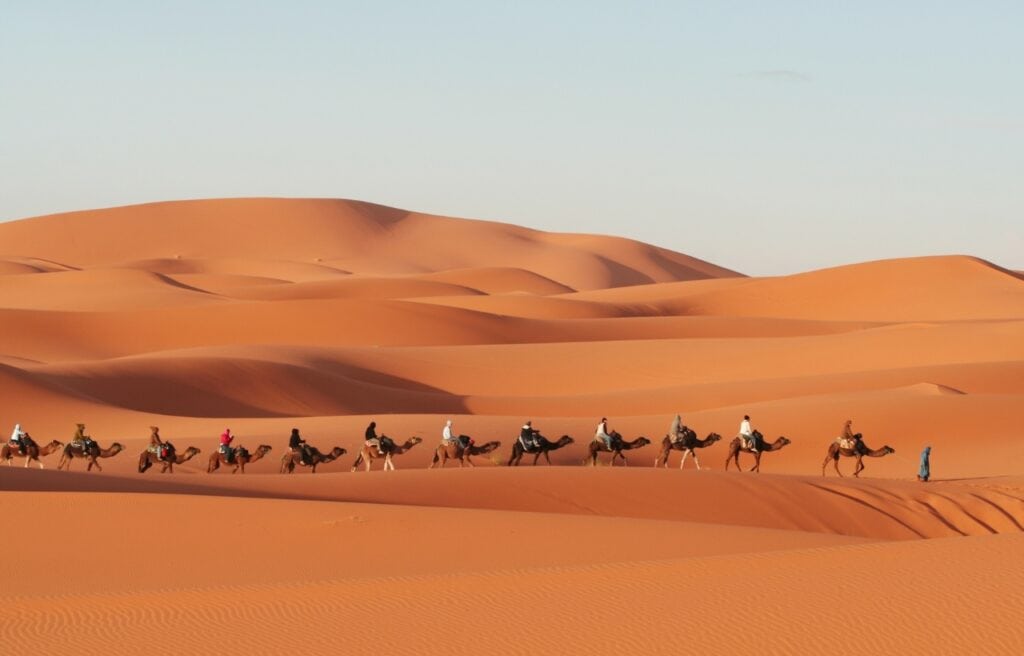 a caravan n the Sahara desert