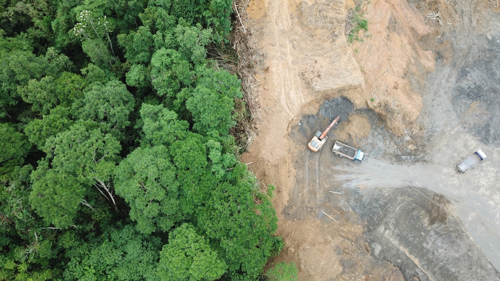 Aerial view of a deforested forest 