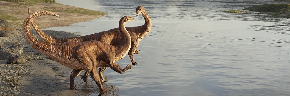 Illustration of two dinosaurs playing in a pond