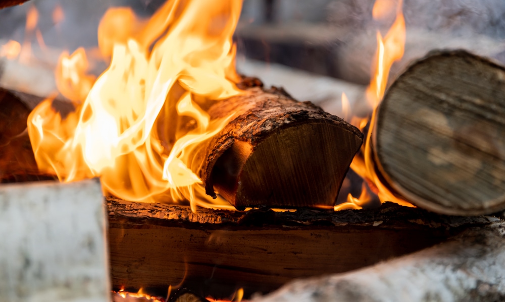close up of a burning firewood