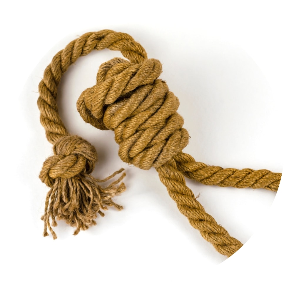 a rope in a scaffold knot