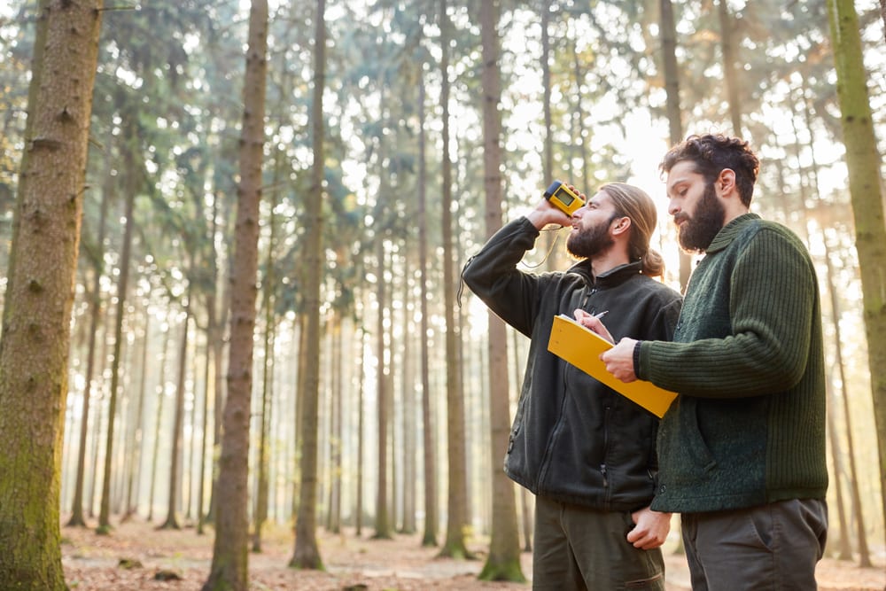Two men determine tree height by three-point measurement with rangefinder