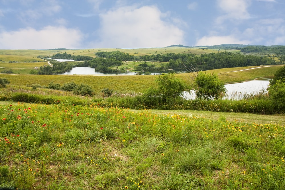 Temperate grassland with view of a lake in it