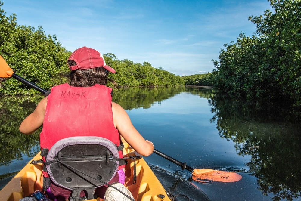 Girl canoeing on the marsh