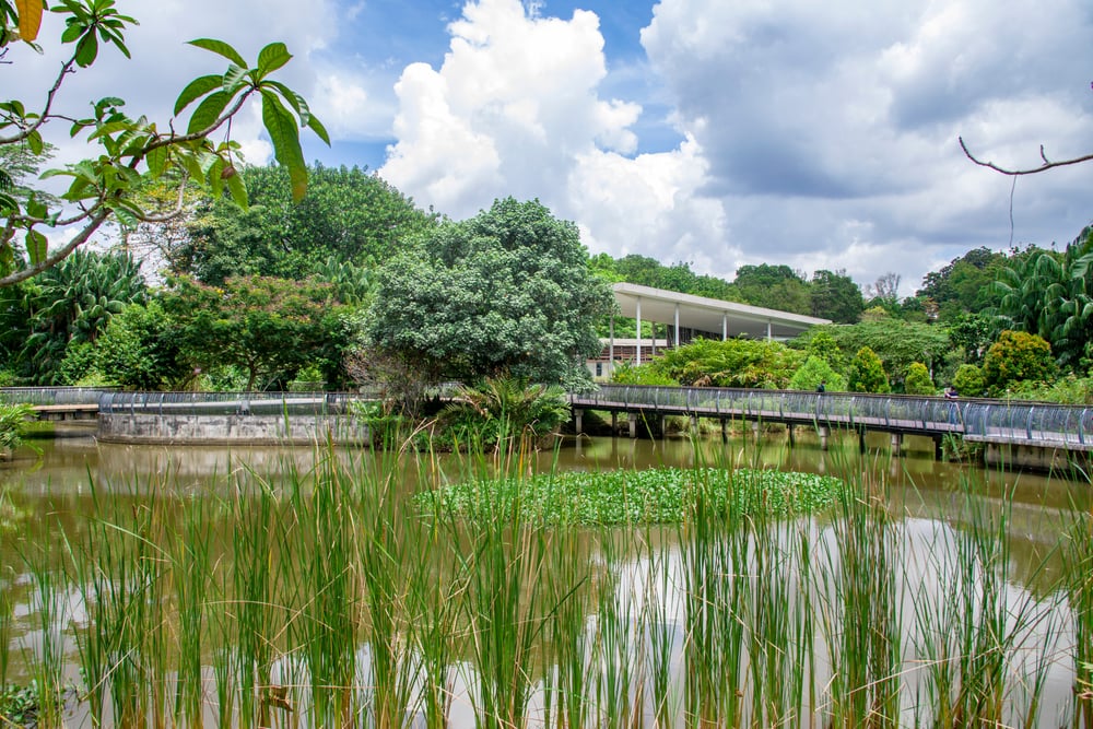 View of the Sungei Buloh Wetland Reserve, Singapore