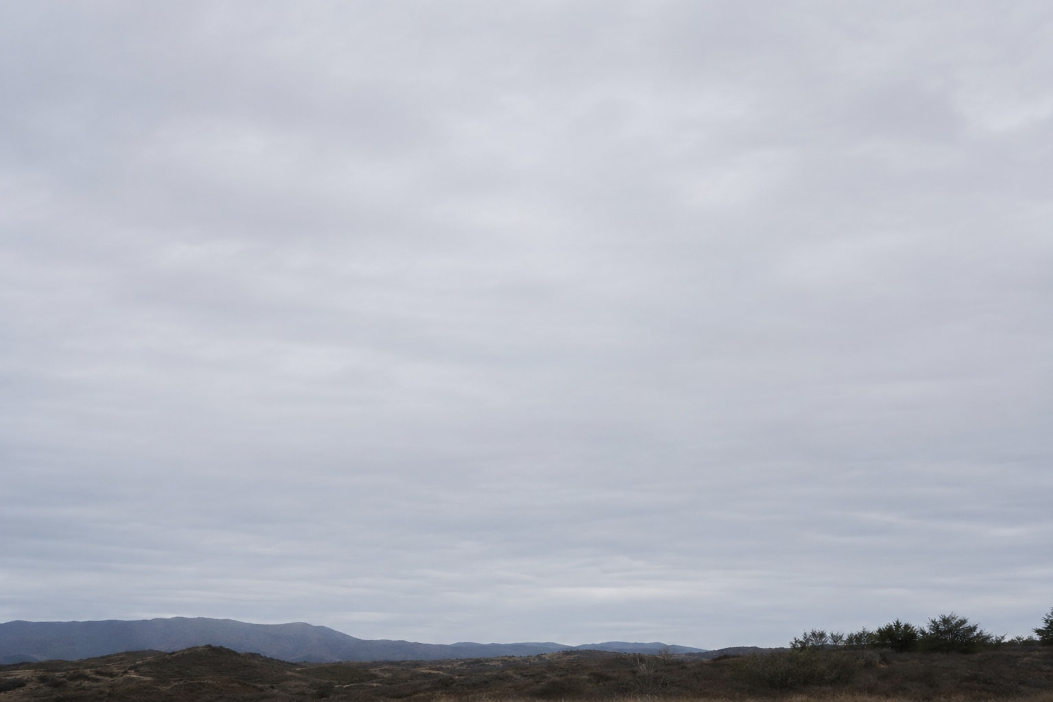 Altostratus featured image