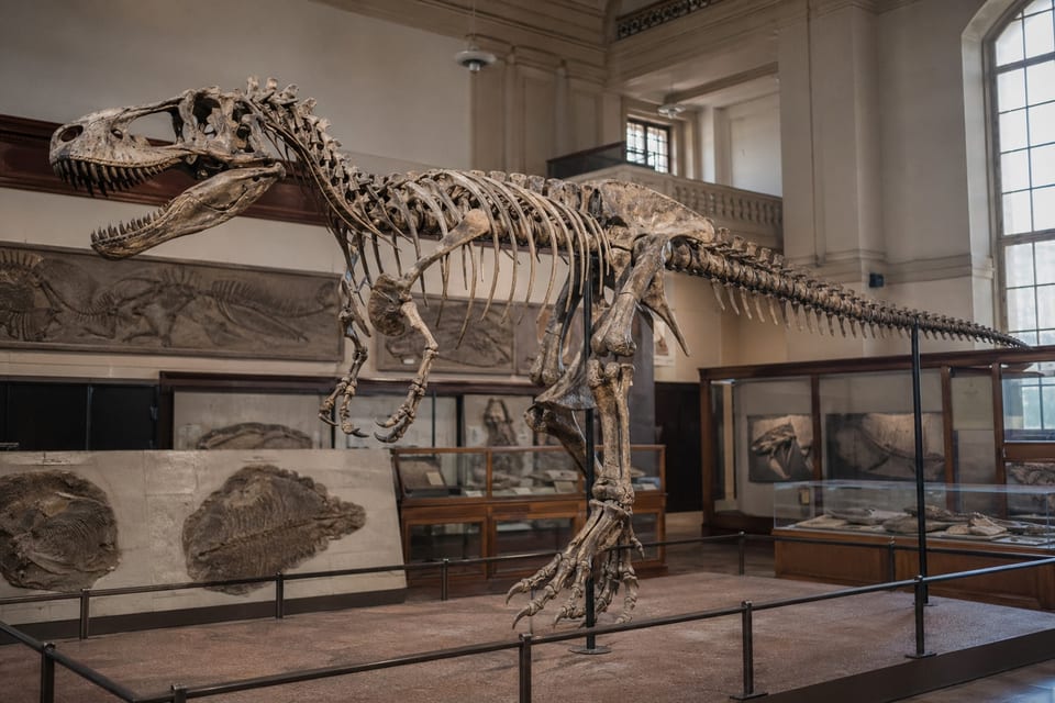 Are dinosaurs reptiles featured image