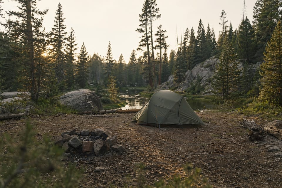 camping in national forests featured image